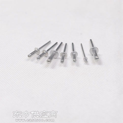 拉鉚釘 邦迪緊固件 山東拉鉚釘廠圖片